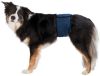 Trixie Incontinentie Plasband Voor Reuen Donkerblauw Hondenhulpmiddelen S online kopen